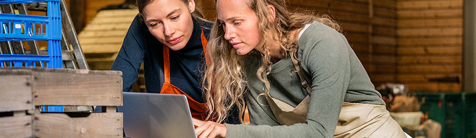 Online Banking Firmenkunden Volksbank Lubeck Eg